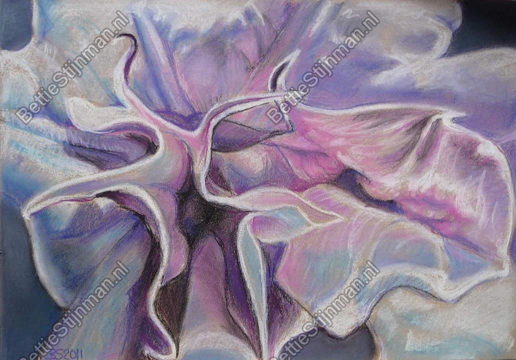 <head>Datura hart</head>