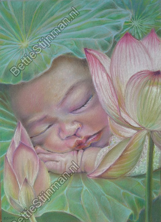 <head>Lotus baby</head>